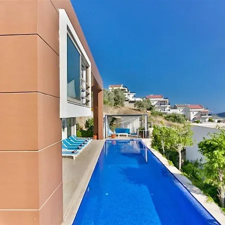 Duygu Kalkan